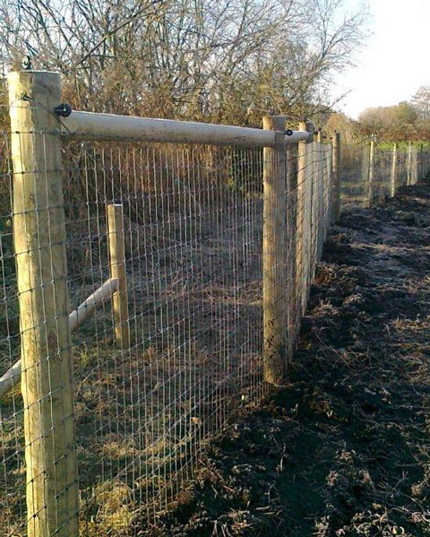 Otter Fencing 50 Metres - Jarrett Fencing